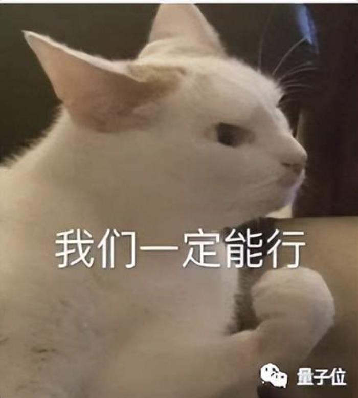 把大模型当CPU,前阿里云首席安全科学家创业项目曝光