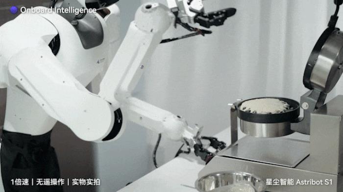 国产AI机器人好超前…弹琴泡茶打咏春,还能撸猫??