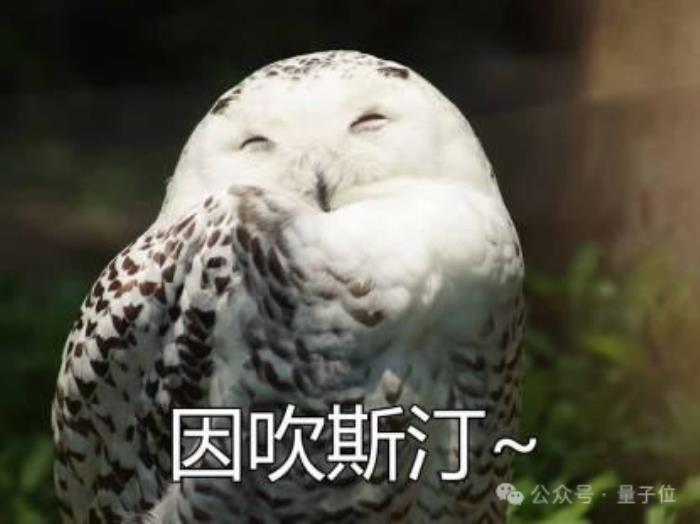 8岁女孩玩转AI编程,45分钟打造聊天机器人,Karpathy都看呆了