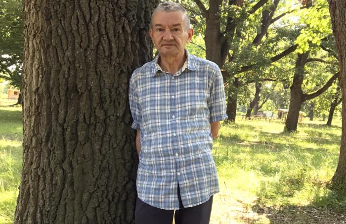 40年图灵机难题被业余玩家攻破,陶哲轩:软件辅助证明改变规则