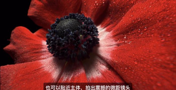 iPhone 16全系上车最强3nm芯片!首款AI原生手机,按键竟成最大亮点