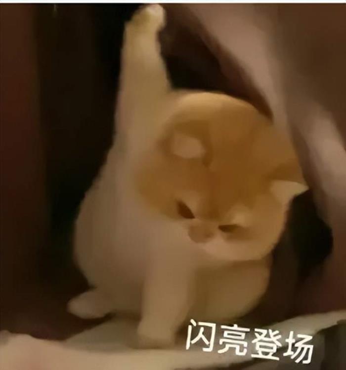 清华系公司联合,单4090让安全大模型进入千亿时代|长亭x趋境