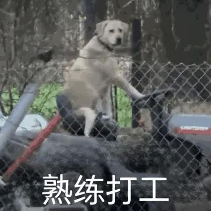 打破波士顿动力空翻专利后,国产人形机器人左手拧螺丝,右手咖啡拉花