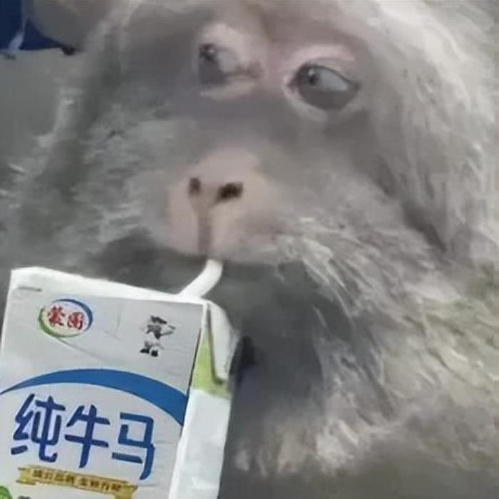 打破波士顿动力空翻专利后,国产人形机器人左手拧螺丝,右手咖啡拉花