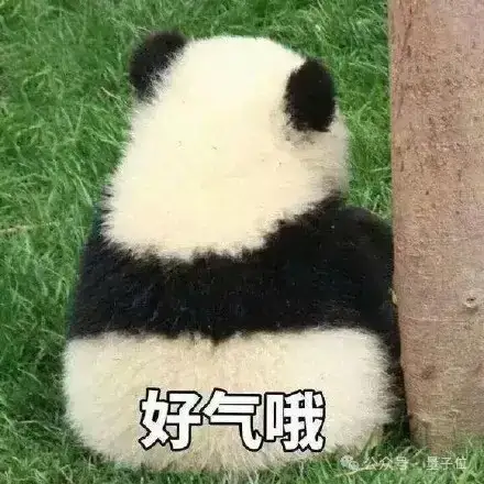 OpenAI重夺竞技场第一,但这波靠的是4o