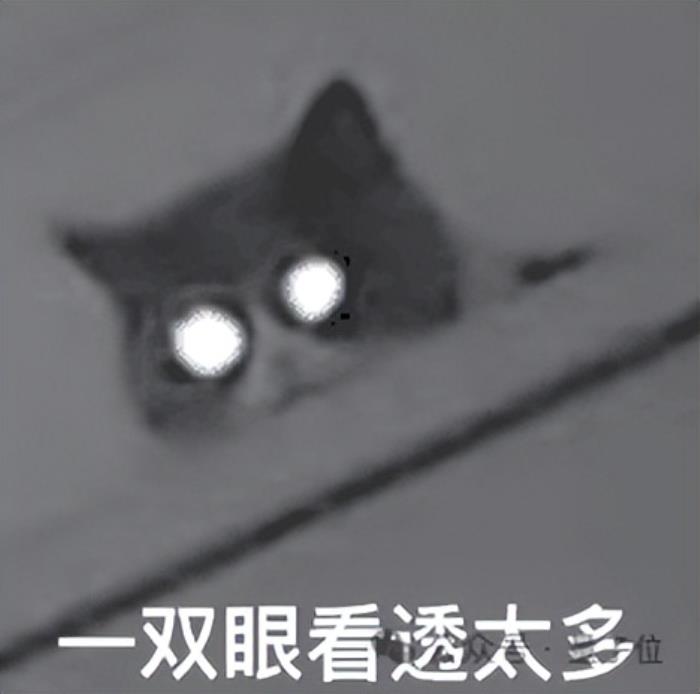 ChatGPT搜索与Her打通了!搜索免费开放,居然还剧透明日直播主题