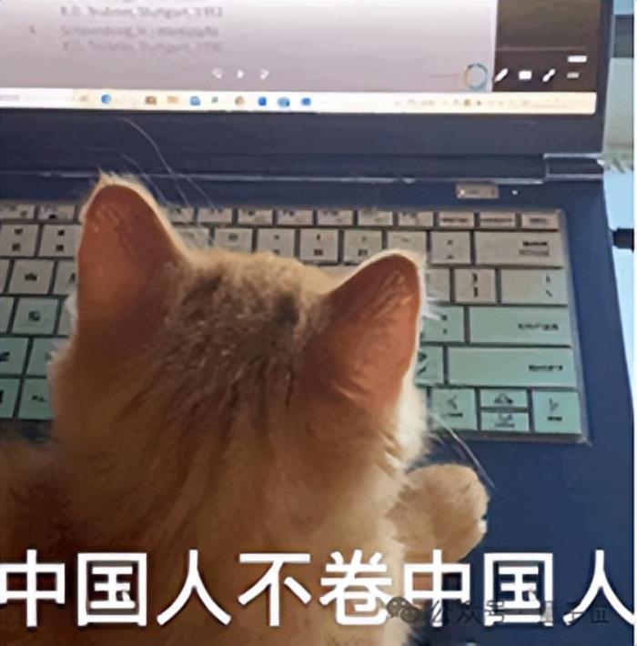 华人学子闪耀NeurIPS顶会,背后最大赢家竟是它