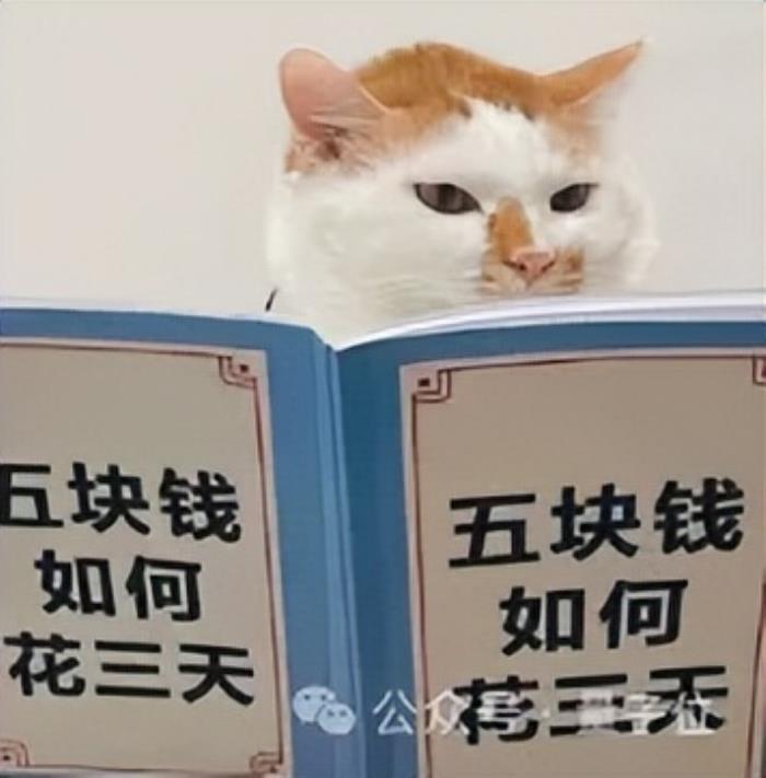 流体力学专用版DeepSeek,单GPU可跑,成本节约高达100倍