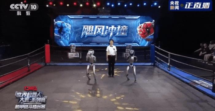 机器人杭州上演格斗赛！拳拳到肉，宇树CEO王兴兴：创造了人类历史新时刻